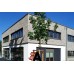 Кирпич клинкерный AARHUS grau-bunt