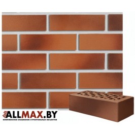 Кирпич клинкерный Darwin-красно-коричневый 38