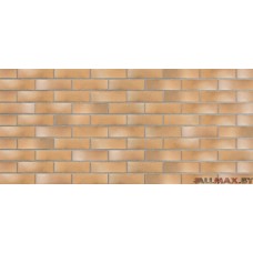 Плитка клинкерная Plato Rosso AC 9104